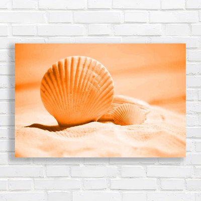 Large Beach Seashells Discover Coastal Treasures Orange Canvas Print Large