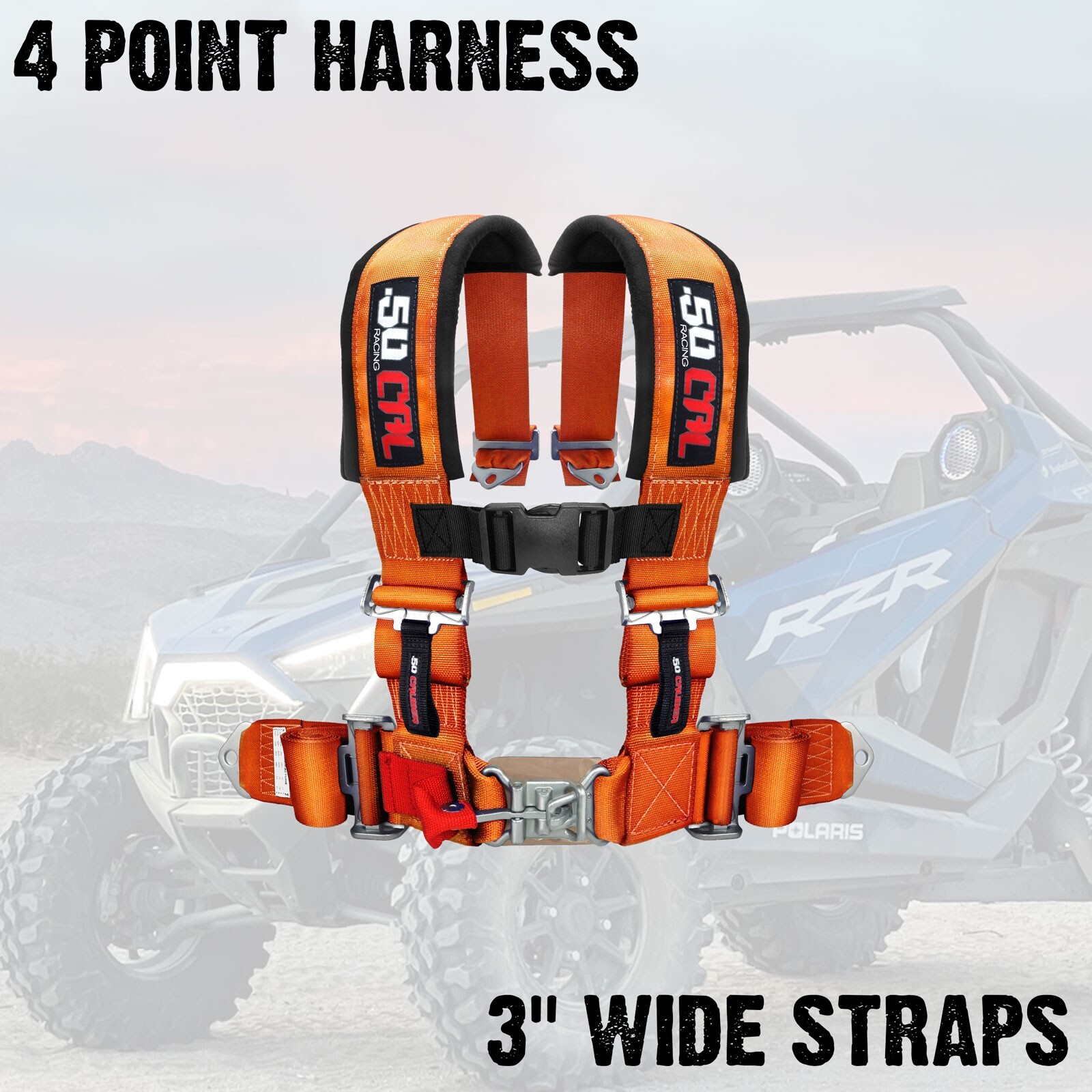 4 Point Harness 3