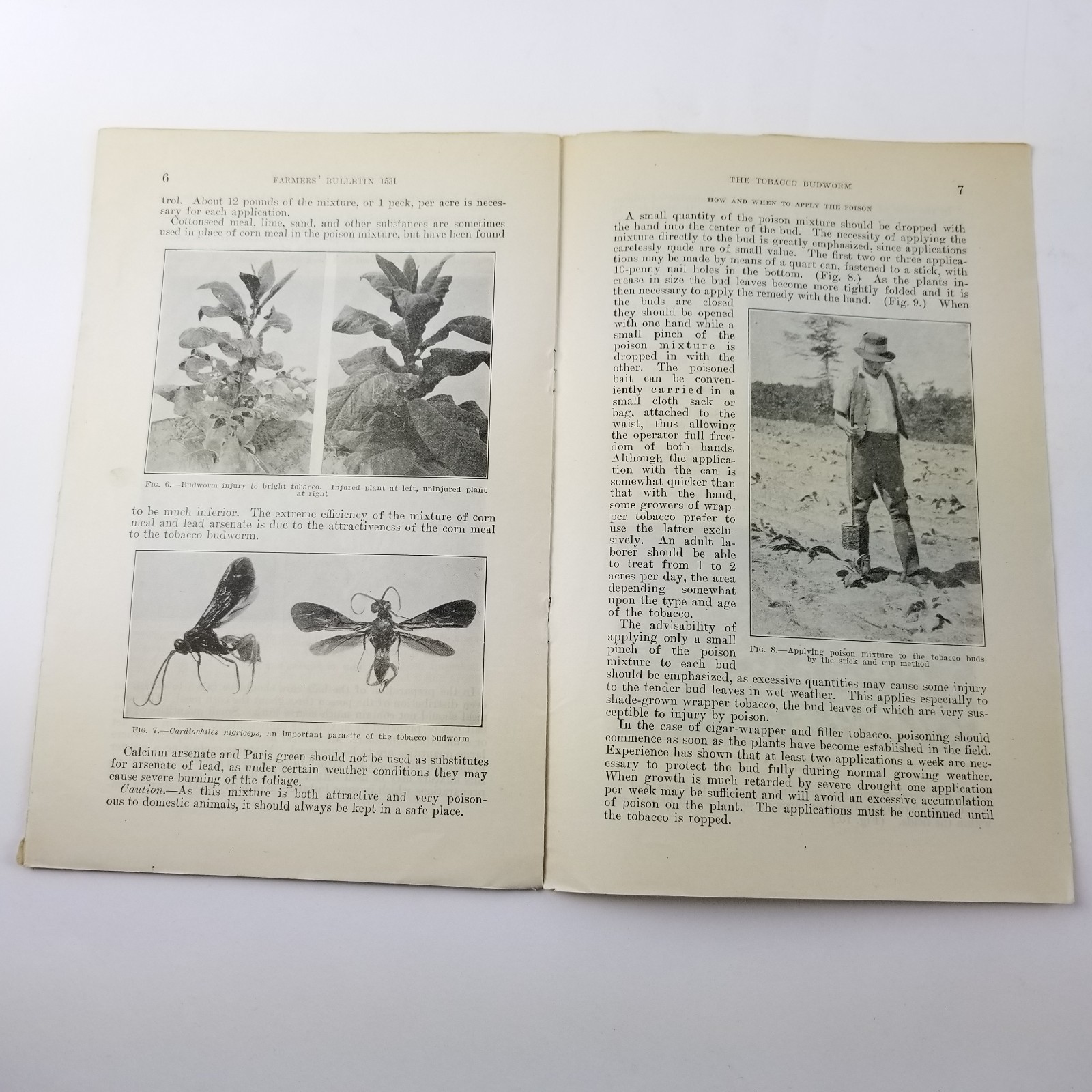 US Department of Agriculture Farmers Bulletin 1531 The Tobacco Budworm Growing