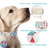 Maca Bates Summer Dog Collar with Watermelon Charm for Small Girl Boy Dogs Blue Ice Cream Print Durable,Soft,Thick,Adjustable Puppy Basic Collars for Male Female with Safety Buckle