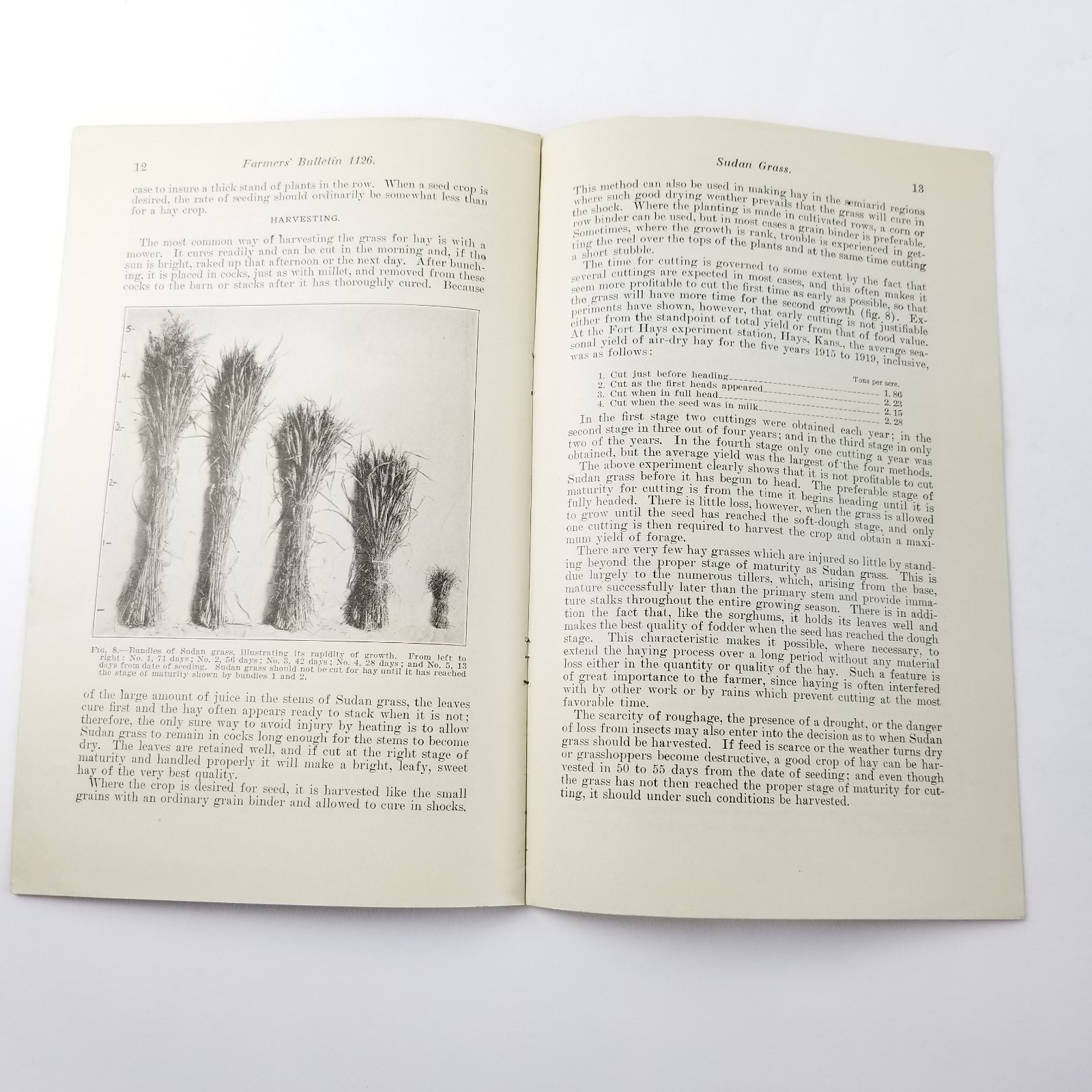 US Department of Agriculture Farmers Bulletin 1126 Sudan Grass