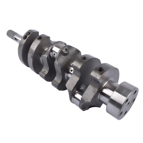 Polly Cranka/ポリー・クランカCF Fab marvel