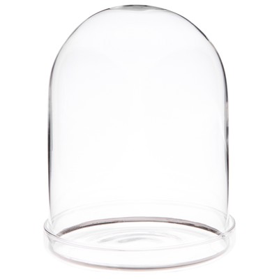 Plymor 4'' x 5.5'' Glass Dome Cloche with Silver Rim (Clear Glass Base), 12 Pack