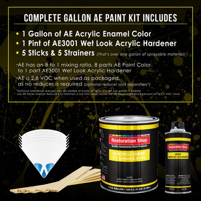Restoration Shop Glacier Blue Acrylic Enamel Gallon Kit, Auto Paint