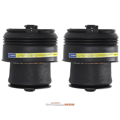 2Pcs Rear Air Spring Bags Air Suspension for BMW X5 E70 X6 E71 07-19 37126790079