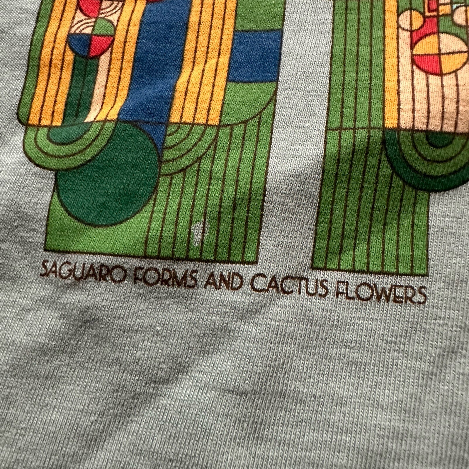 Vintage Frank Lloyd Wright T Shirt Size M Saguaro Forms and Cactus Flowers Small