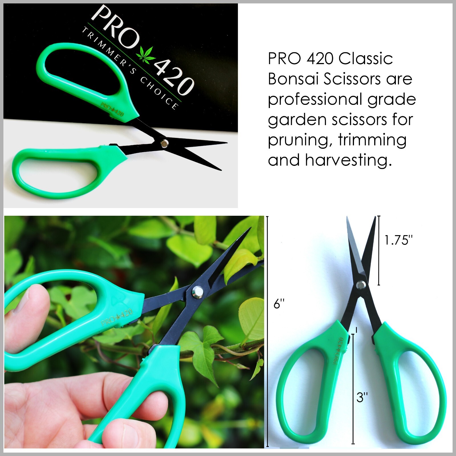 PRO 420 Classic Scissors Trimmer's Choice-  6 Pack    PRUNING TRIMMING HARVEST