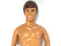 safari ken doll