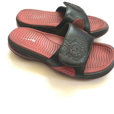 lebron slides