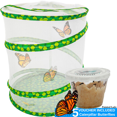 Butterfly Growing Garden Habitat Kit Pop Up Caterpillar Enclosure Net Cage 13"