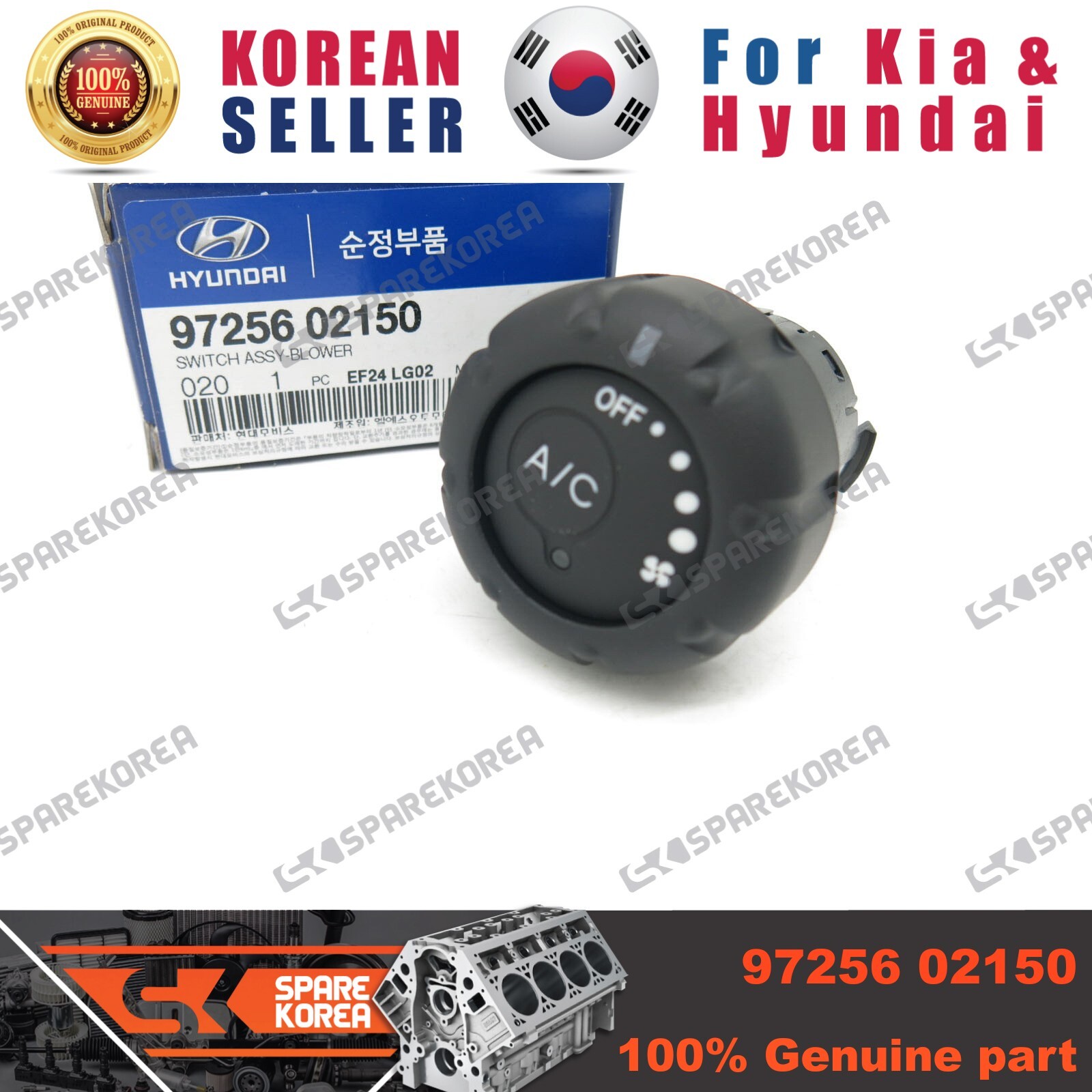 パンギト
Bacchus エレキギター High Pressure Oil Pump for Isuzu 4BG1 Engines - 8972490840