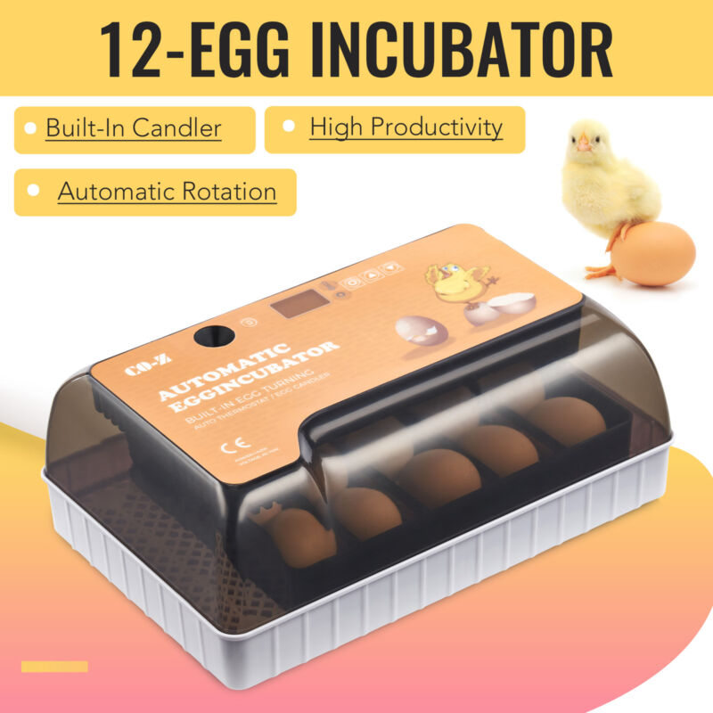 Digital Egg Incubator Hatcher w Temperature Controller Automatic Turning 12 Eggs