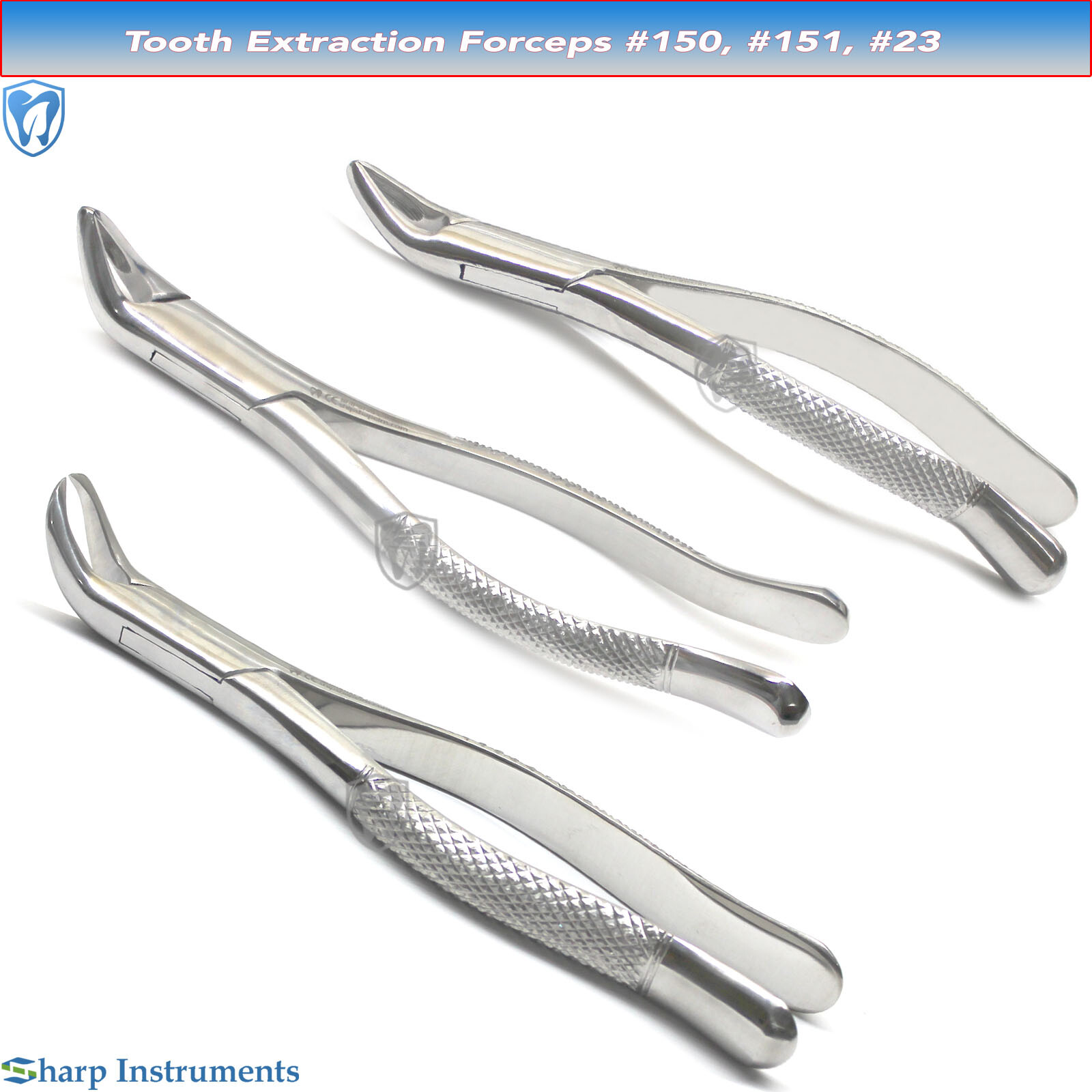 健康・医学 The Tooth Preparation The Tooth Preparation※裁断済 The Tooth Preparation※裁断済