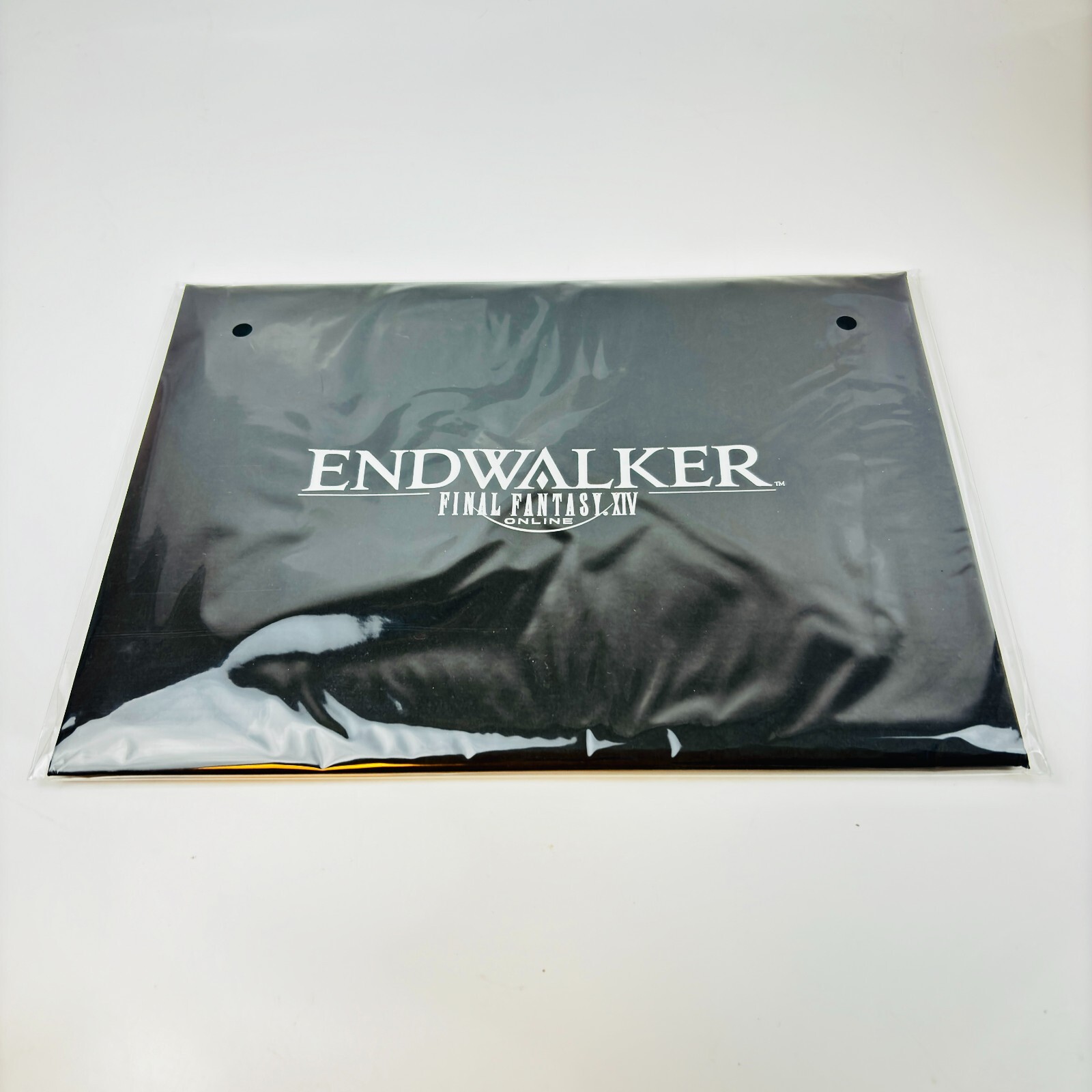 Final Fantasy XIV 14 Endwalker Collectors Edition Box