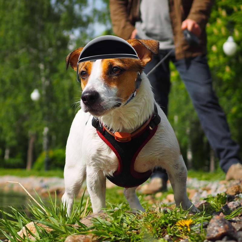 Small Dog Cat Helmet Hat Safety Outdoor Motorcycle Bike Helmet Cap Pet Supplies