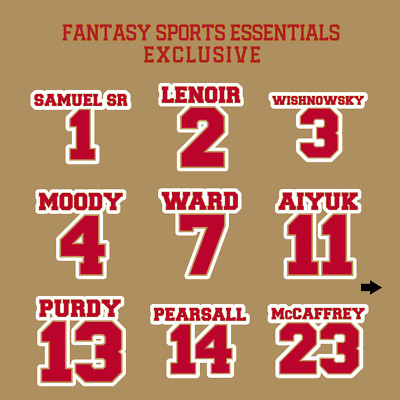 San Francisco 49ers 2024 Name and Number Stickers