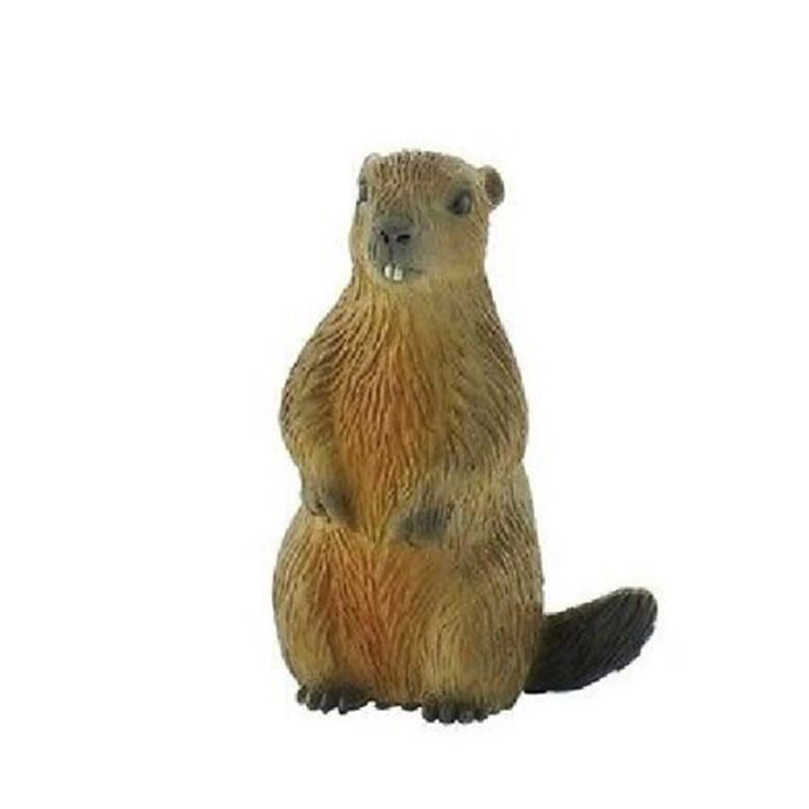 Фигурка животного Bullyland Marmot 64455 НОВИНКА