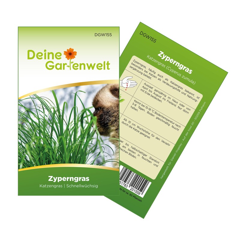 Zyperngras Katzengras Samen - Cyperus Zumula - Zyperngrassamen - Katzengrassamen