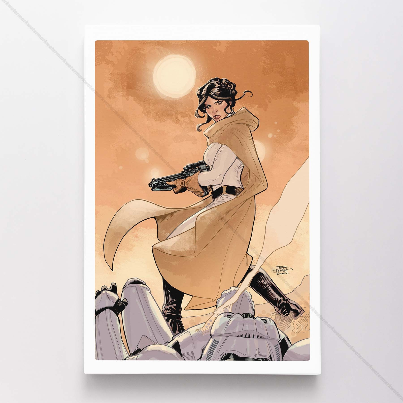 Princess Leia Star Wars Poster Canvas Movie Comic Art Print #82