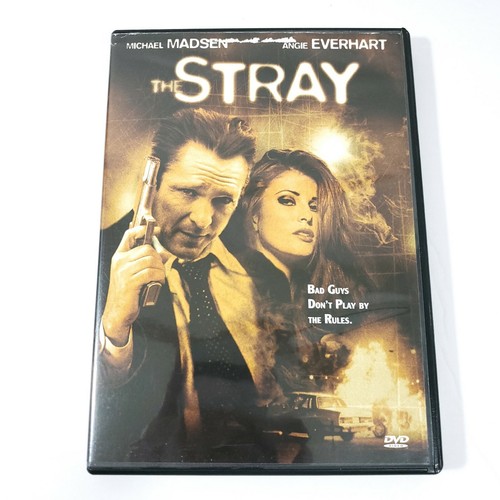 その他 Dialogue: Scott Rosenberg [DVD] その他 Dialogue: Scott Rosenberg [DVD] Amazon.com