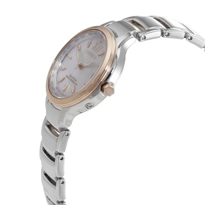 Pre-owned Citizen Perpetual World Time Ladies Watch Ec1174-84d