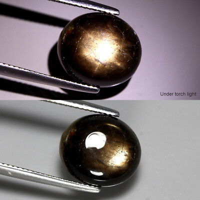 13.06ct 14x12mm s Natural Heated Top Golden Star Sapphire