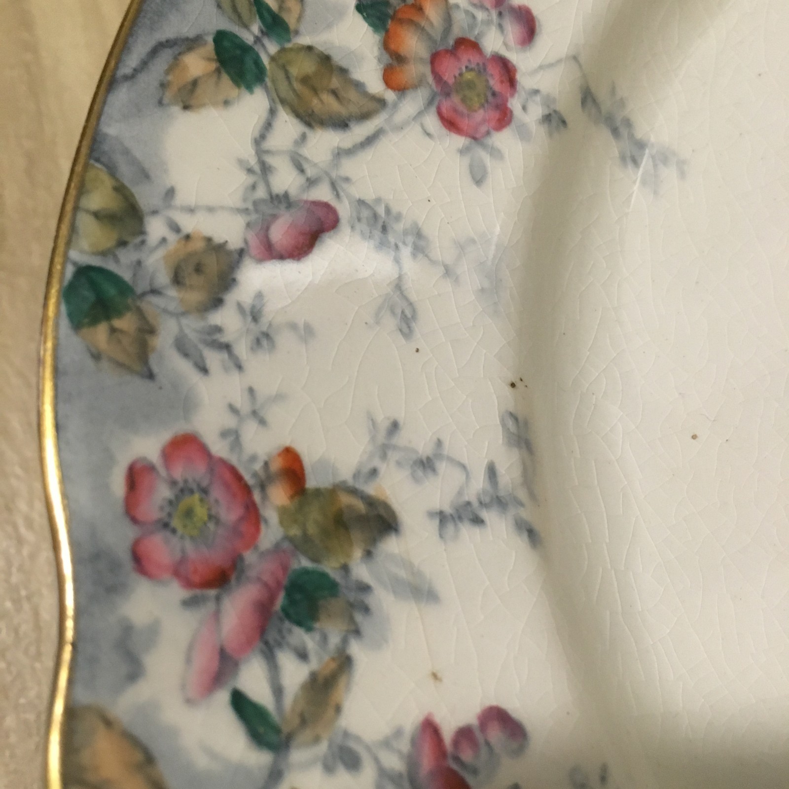 10 Antique Ridgways Royal Semi Porcelain Floral Dinner Plates Claredon 1800's