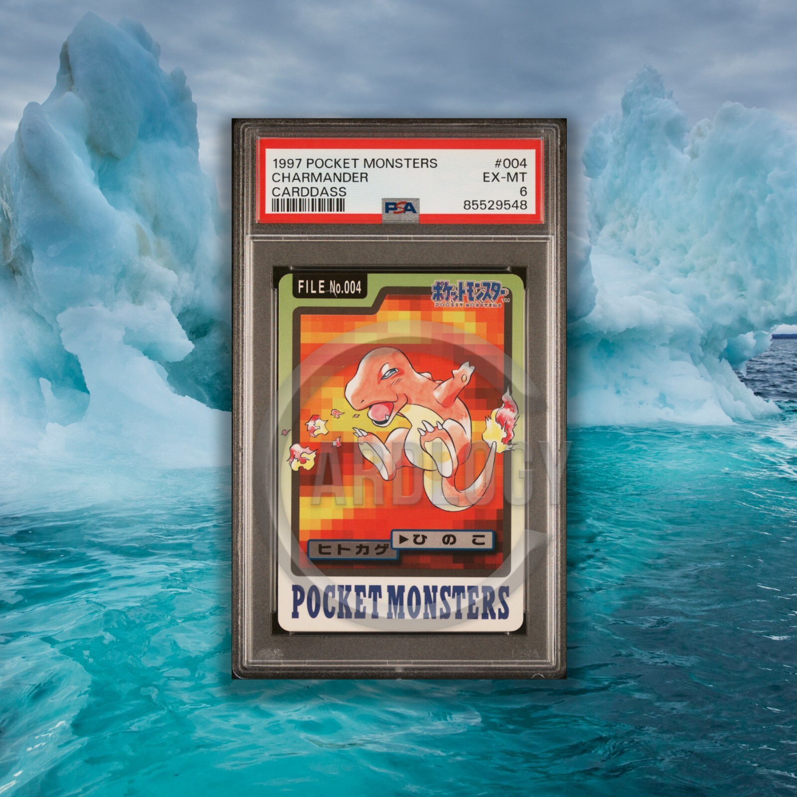 Charmander PSA 6