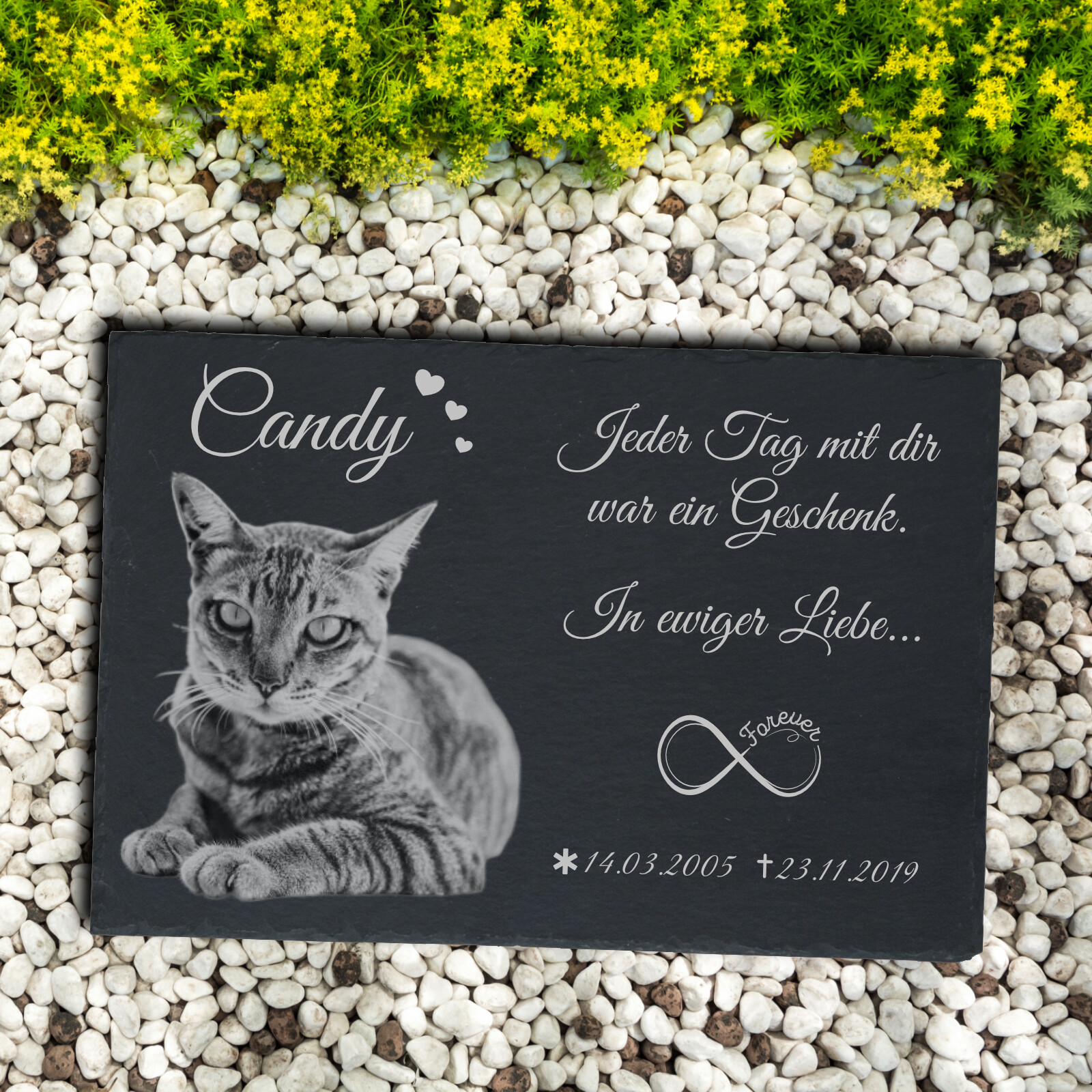 Hunde Gedenkstein Test Vergleich +++ Hunde Gedenkstein günstig kaufen!