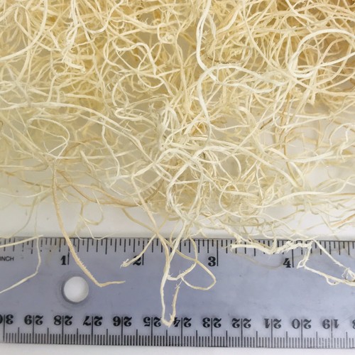 Excelsior Moss (Aspen), Natural, Bulk 7oz Bag Finch Nesting Material