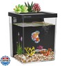 ERAARK 1.5 Gallon Betta Fish Tank Aquarium kit with Filter LED Light, Water Pump, Fish Tank Starter Kits, Fish Bowl