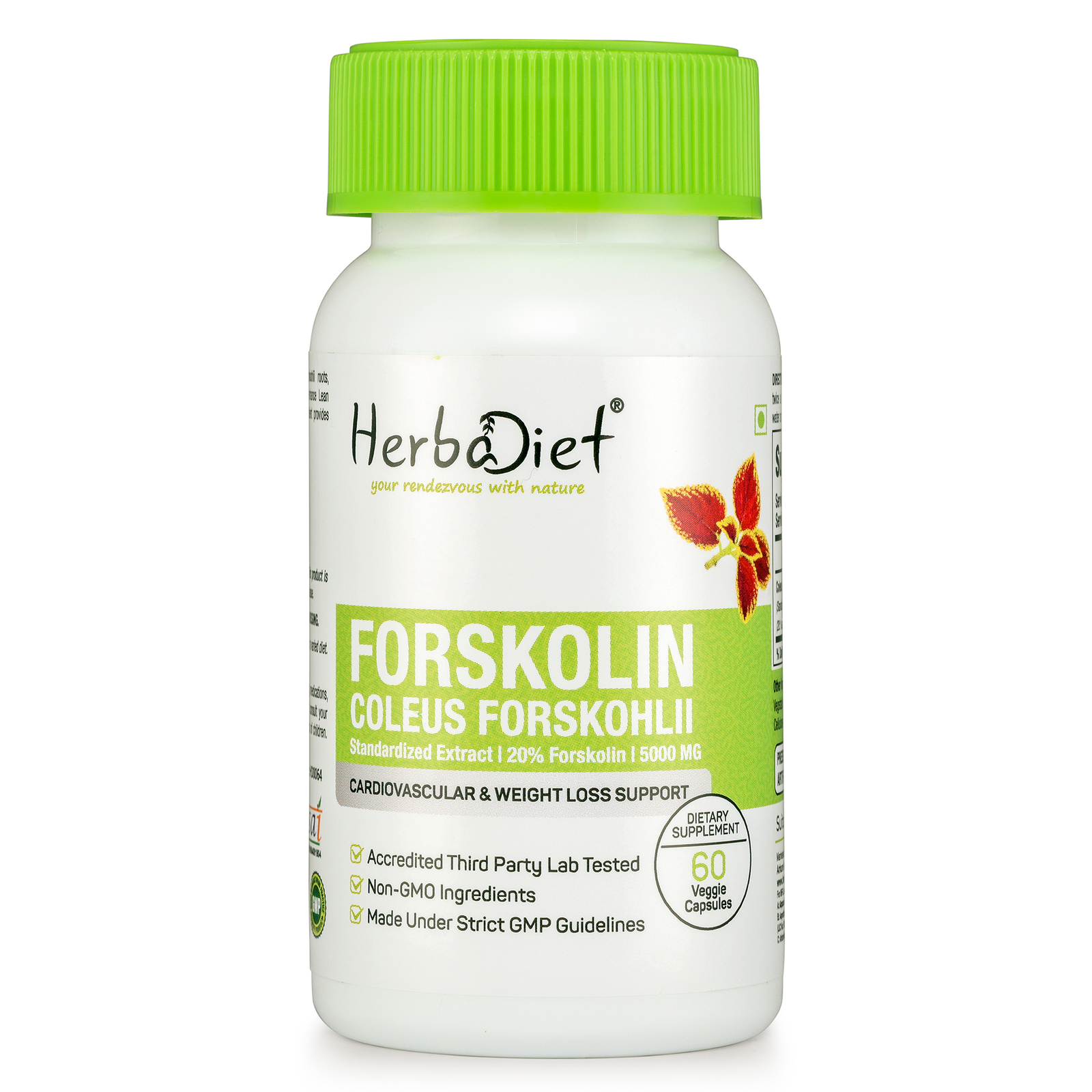 Forskolin Capsules Coleus Forskohlii Extract 20% Standardized - 2 Month Supply