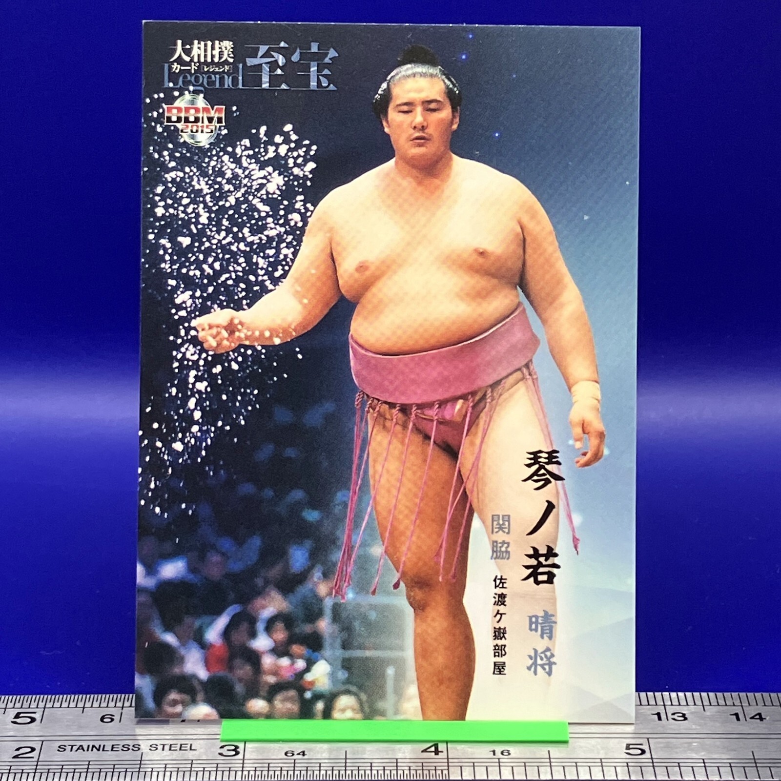 カナプロマニア他華名興行半券5枚セットWWEASUKA カナプロマニア他華名興行半券5枚セットWWEASUKA 2025年最新】