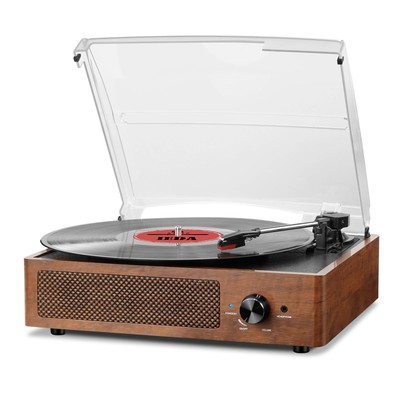 With Speakers, 3 Speed Belt Driven Vint