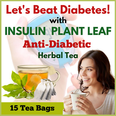 Natural Insulin Plant Leaf Tea Bags Costus Igneus Diabetic Herbal Organic Powder