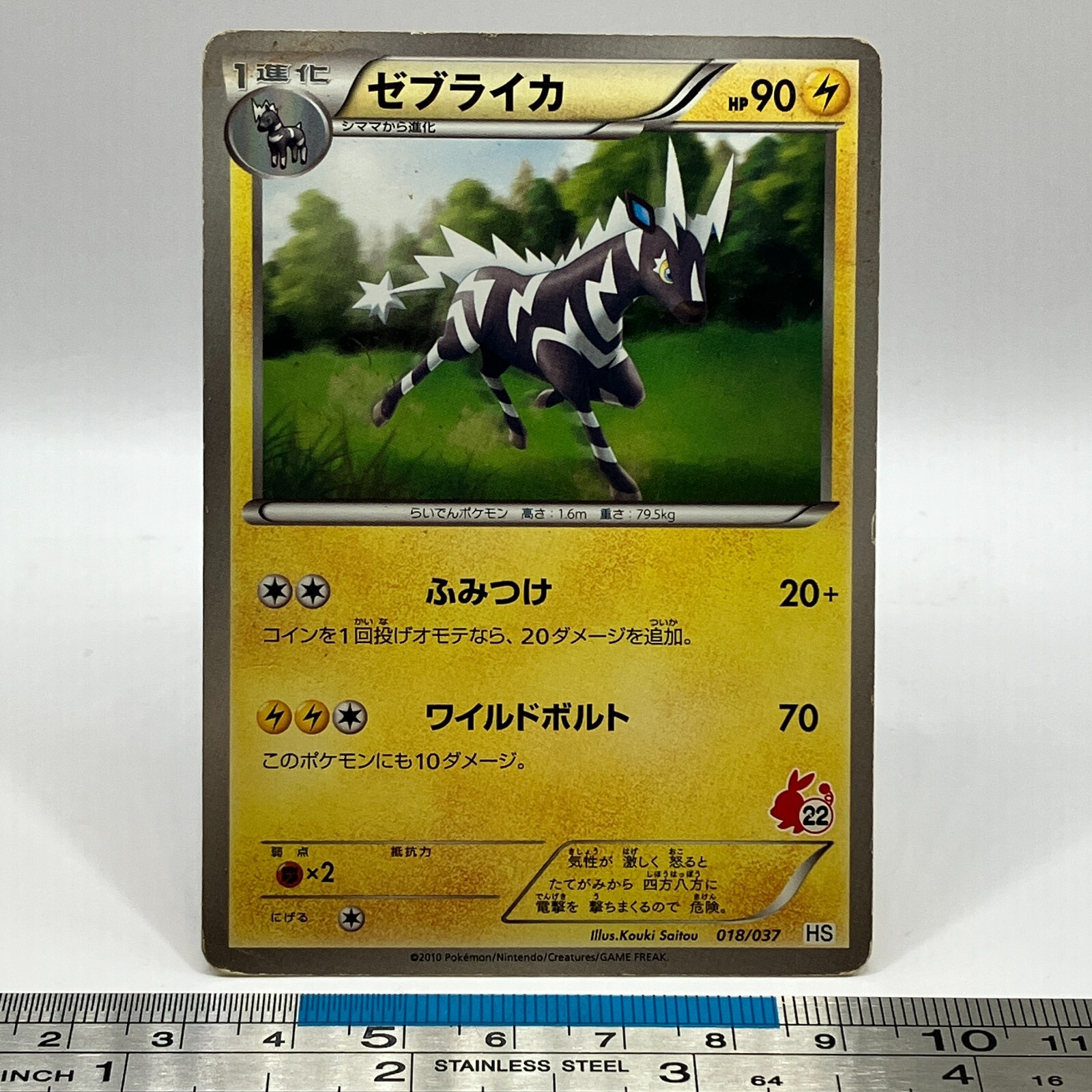 ポケモンカード 約60枚 初期シリーズ Zebstrika Pokemon Card 018/037 HS 2010 Nintendo TCG Japanese