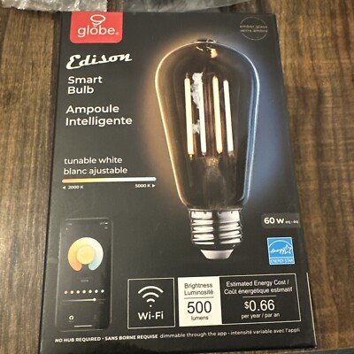 Globe Electric Edison Wi-Fi LED Smart Bulb - ST19 - 500 Lumens - 60w (A-4)