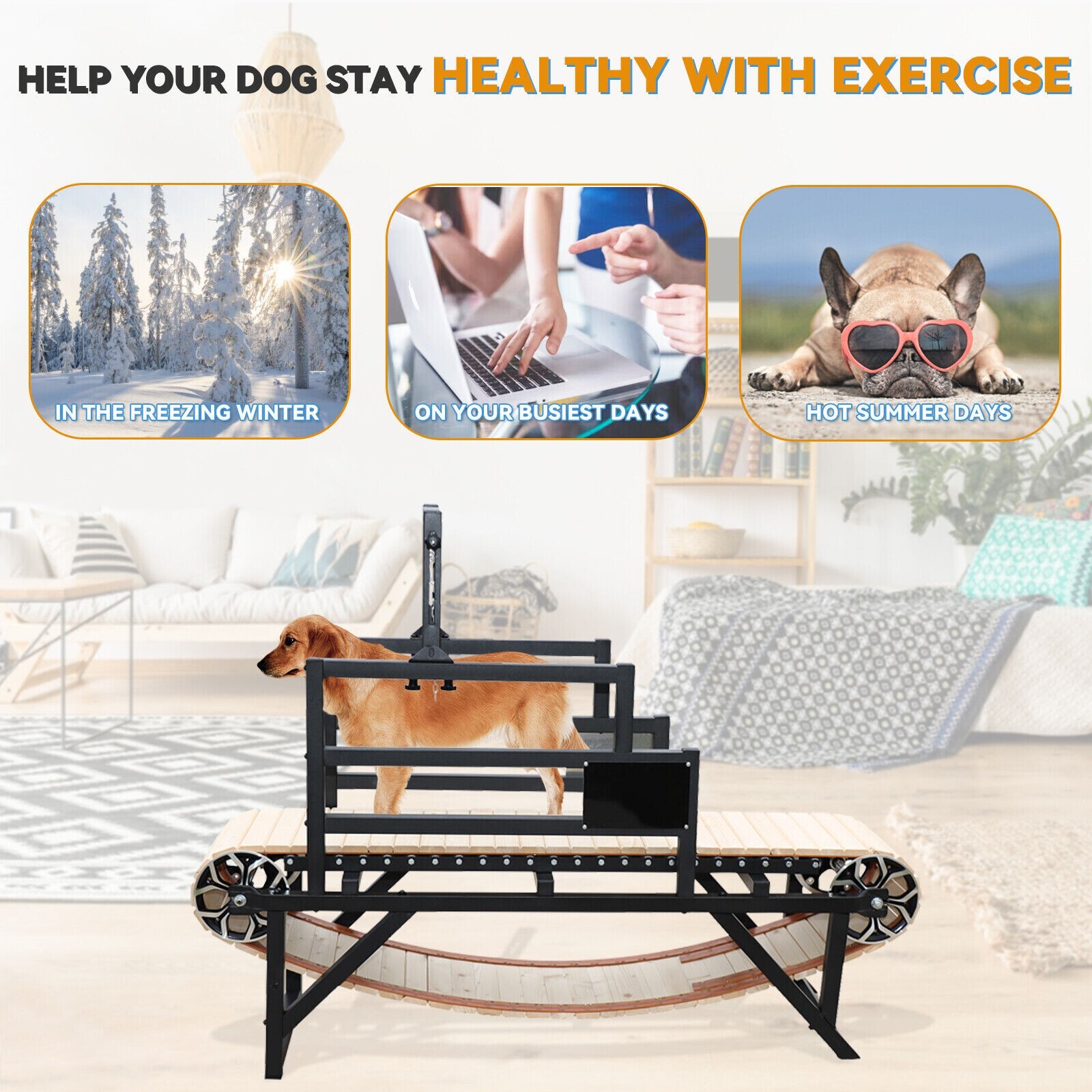 Dog Treadmill for Large Dogs, Dog Treadmill for Medium Dogs Tread