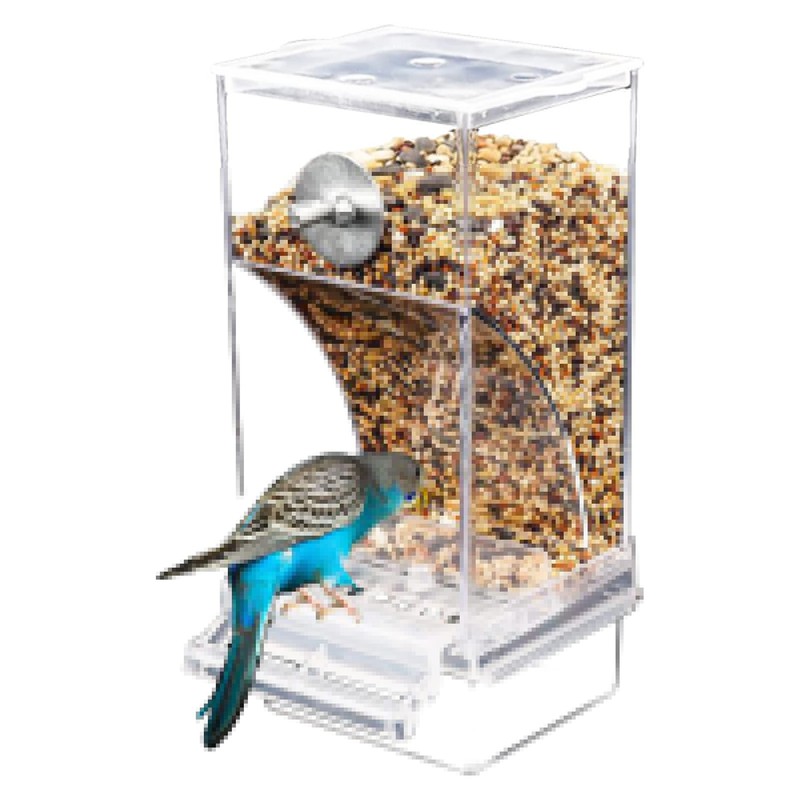 Cup Automatic Parrot Canary Cockatiel Feeders