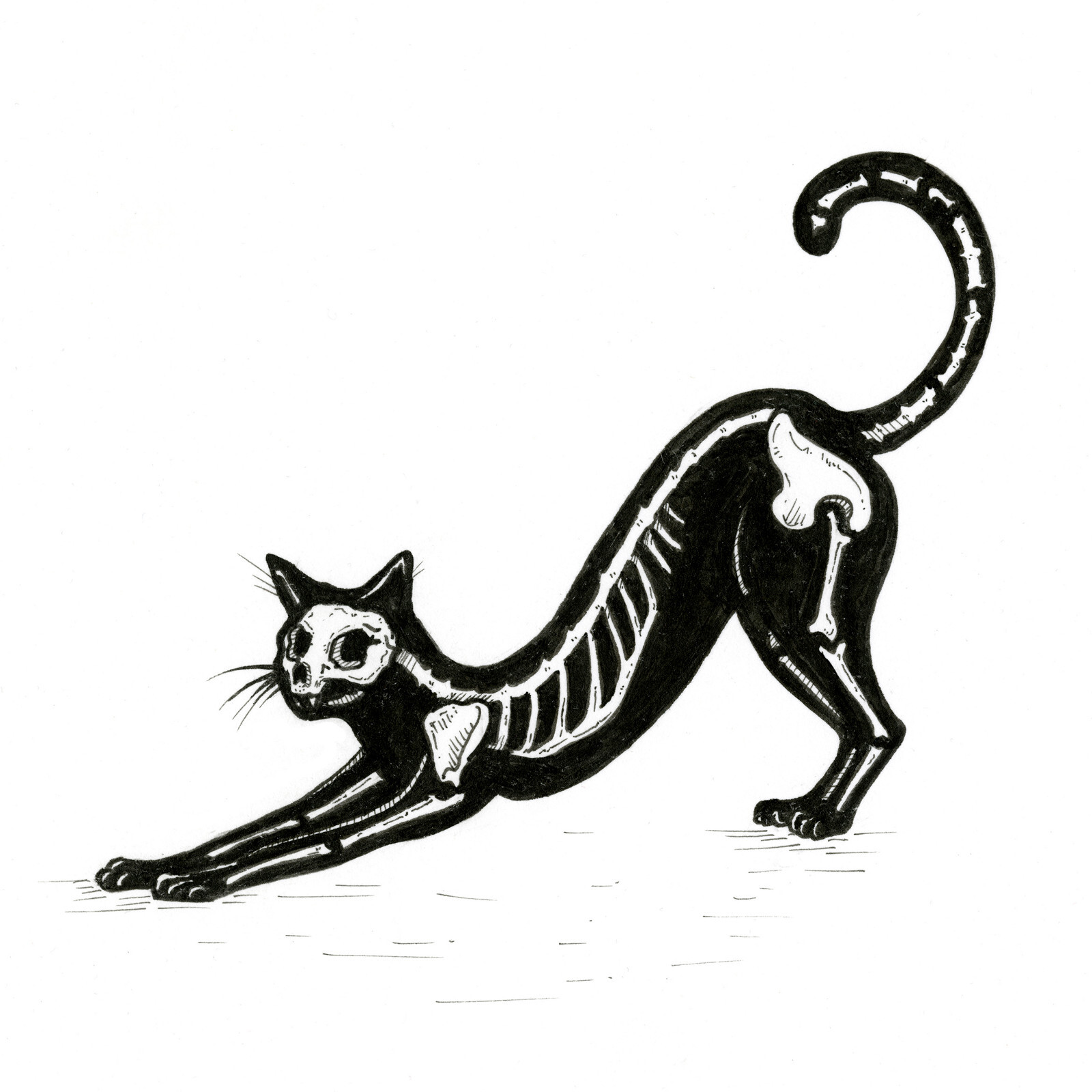 Vinny Cat on skull/立体アート Vinny Cat on skull/立体アート