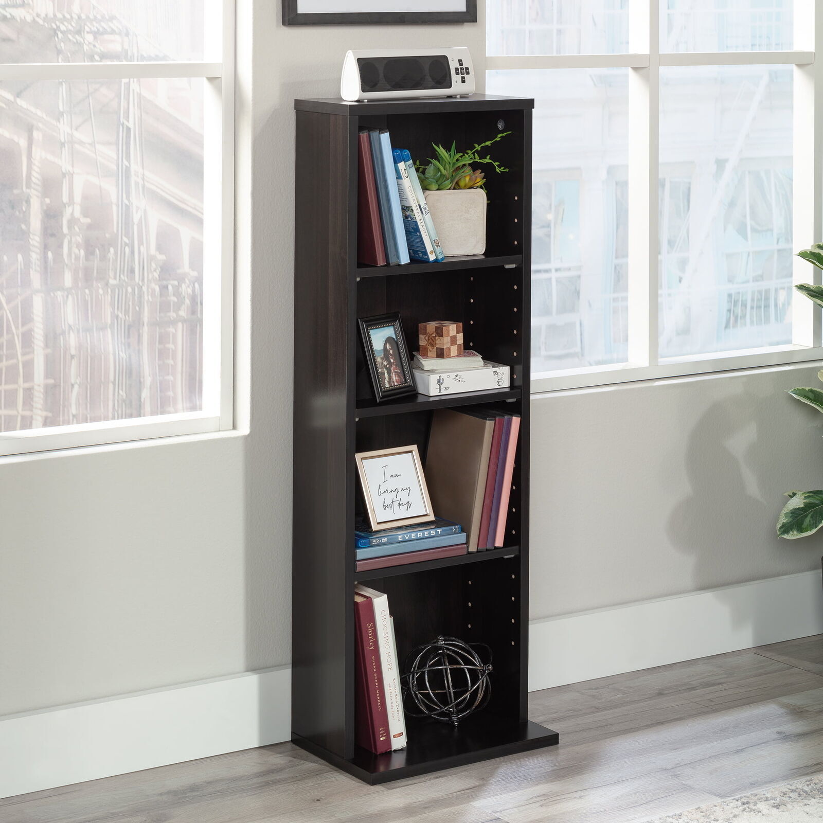 Shelf Organizer