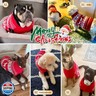 KYEESE Christmas Dog Sweaters Snowflake Reindeer Holiday Dog Sweater for Small Dogs with Leash Hole Ugly Dogs Sweater Warm Pet Christmas Outfit, L