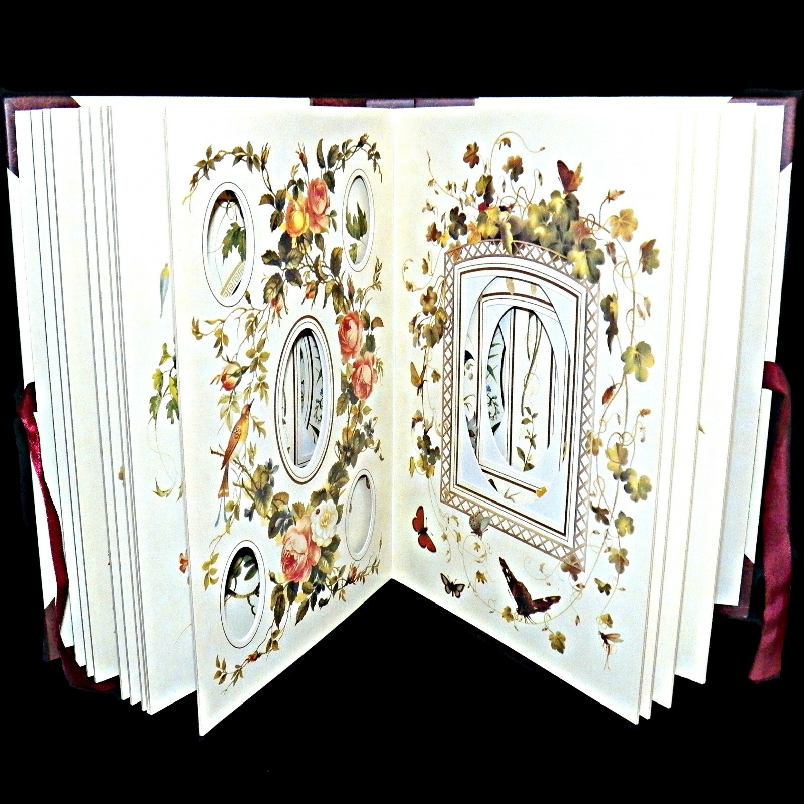 The Victorian Photograph Album 1995 Large Colour Library Books Holds 47 Photos