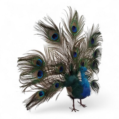 Vintage Open Tail Colorful Feathered Peacock 17'' Hand Crafted Lightweight Decor