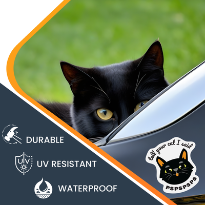 Magnet Me Up Tell Your Cat I Said PSPSPSPS Funny Cute Magnet Decal, 4.5x4.5