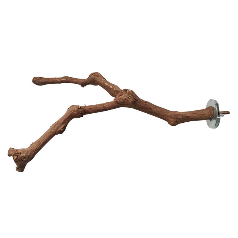 Grape Wood Bird Perch Parrot Perches Natural Birds Stand Grape Stick Toy