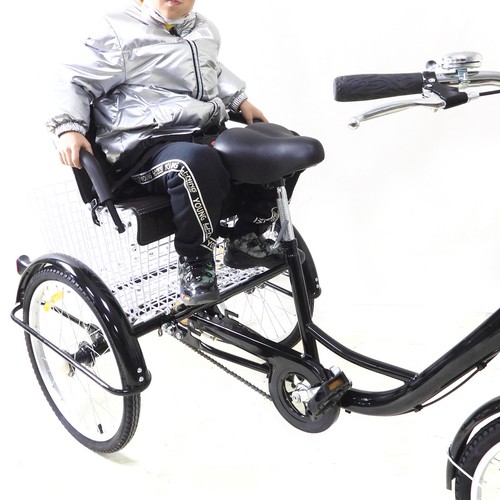 dreirad fahrrad für erwachsene mit kindersitz