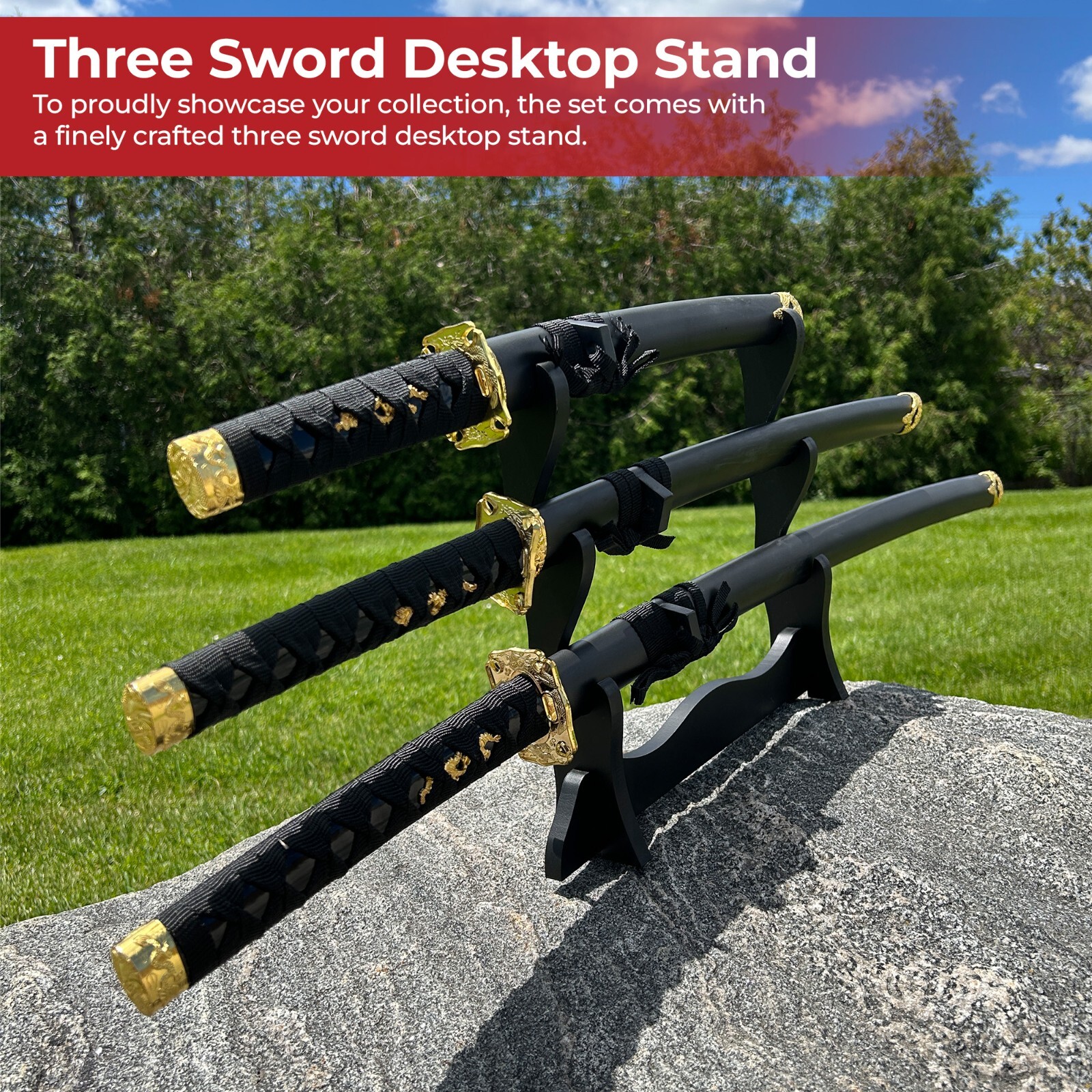 テラパゴスデッキKATANAスリーブ付 テラパゴスデッキKATANAスリーブ付 テラパゴスデッキKATANA