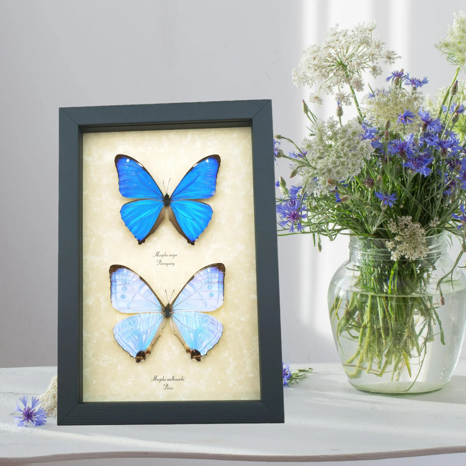 $_57.JPG?set_id=880000500F