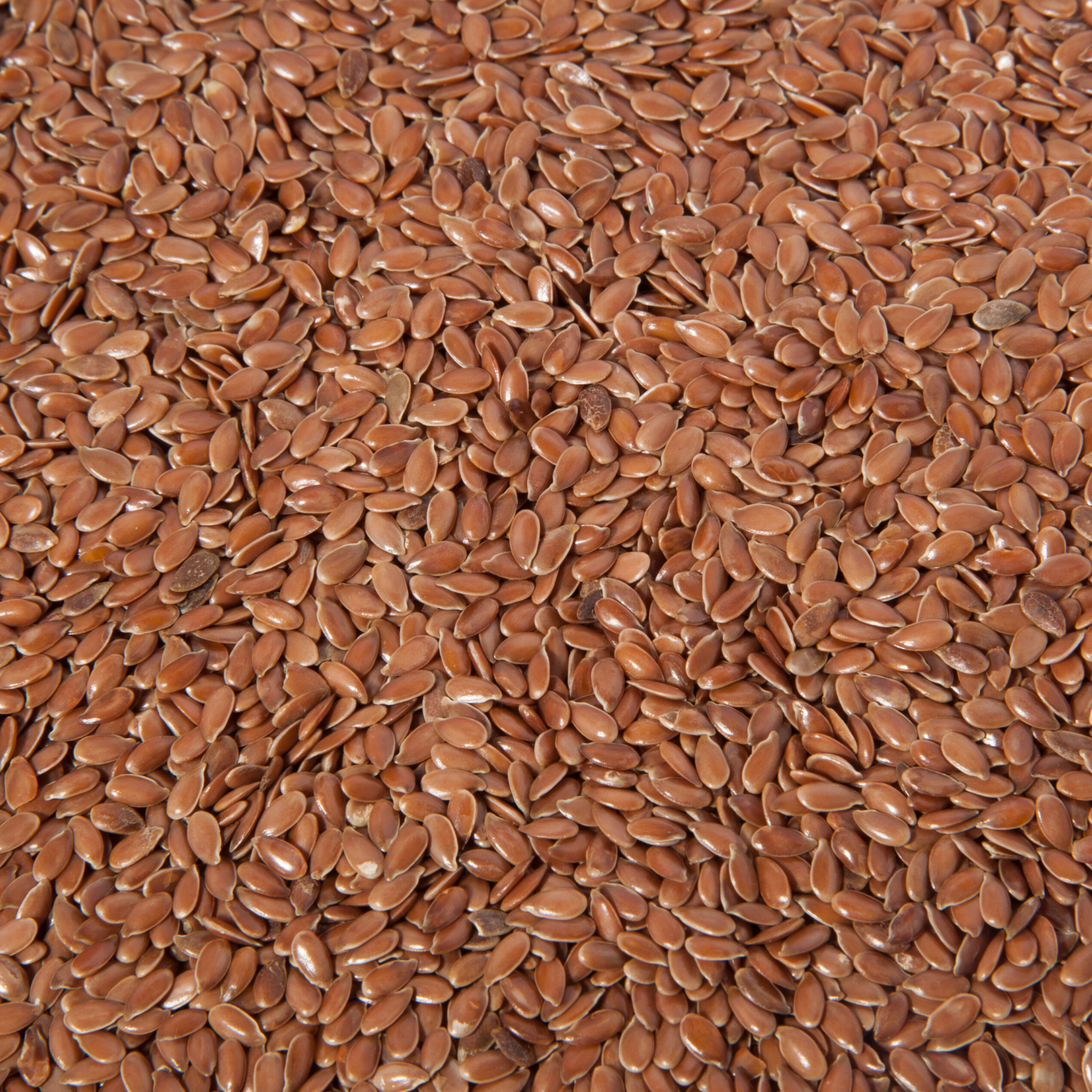 Seed 0